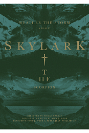 Weather the Storm