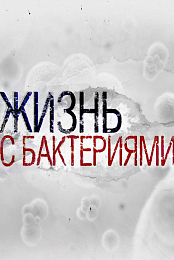 Life with bacteria