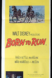 Born to Run