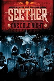 Seether One Cold Night