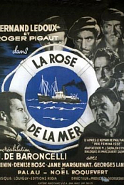 The Sea Rose