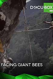Facing the Giant Bees
