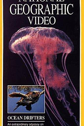 Jellies & Other Ocean Drifters