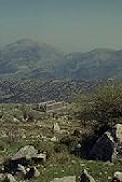 Bassae