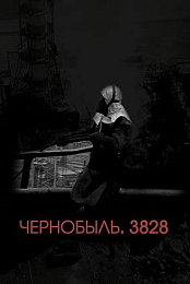 Chernobyl. 3828