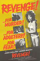 Revenge.1971.BRRip.XviD.MP3-XVID