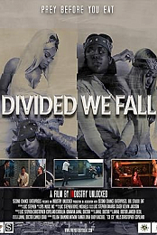 Divided We Fall