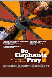 Do Elephants Pray?