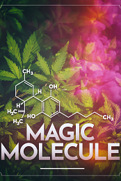 Magic Molecule