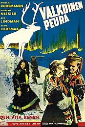 The White Reindeer