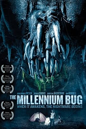 The Millennium Bug