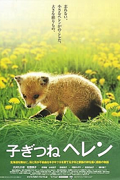 Helen the Baby Fox