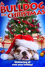 A Bulldog for Christmas