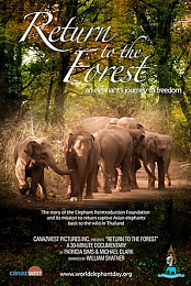 Return to the Forest