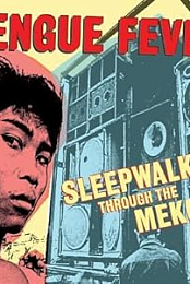 Sleepwalking Through the Mekong