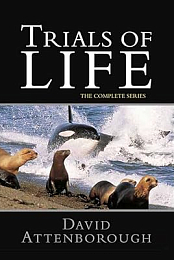 The Trials of Life