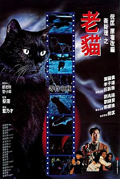 The Cat