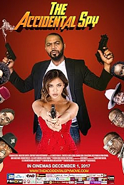The Accidental Spy (2017) 720p WEBRip [PYRO]
