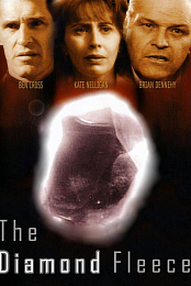 The Great Diamond Robbery