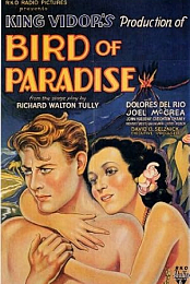 Bird of Paradise