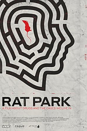 Rat Park