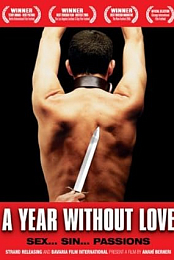 A Year Without Love