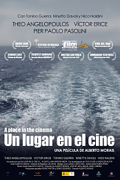 A Place in the Cinema