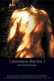 Amnesia Diaries