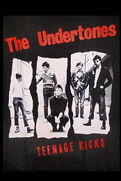 Teenage Kicks: The Undertones