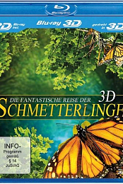 Flight of the Monarch Butterfly 3D