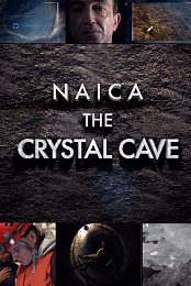 NAICA.The.Crystal.Cave.2008.WEBRip.x264-ION10