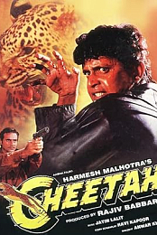 Cheetah