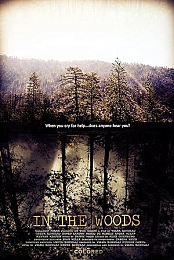 In the Woods
