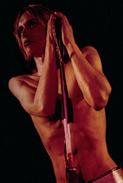 Search & Destroy: Iggy & The Stooges Raw Power documentary