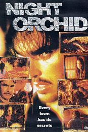 Night Orchid