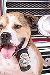 2021 American Humane Hero Dog Awards