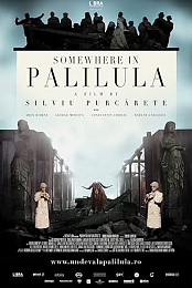 Somewhere in Palilula