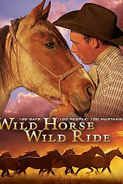 Wild Horse, Wild Ride (2011) 720p WEBRip YTS YIFY
