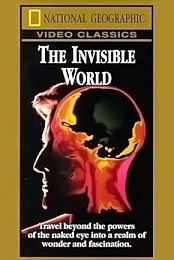 National Geographic: The Invisible World