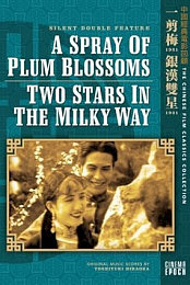 A Spray of Plum Blossoms