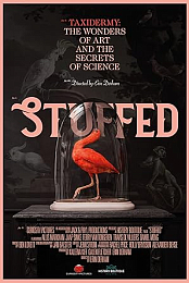 Stuffed