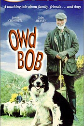 Owd Bob