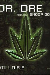 Dr. Dre feat. Snoop Dogg: Still D.R.E.