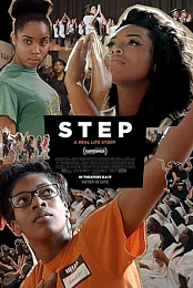 Step 2017 DVDRip x264 AC3-26k