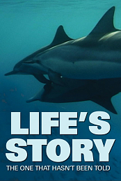 Life's Story