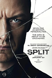 Split.2016.TRUEFRENCH.BDRip.XviD.ACOOL