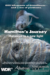 Hamilton's Journey: Manatees in a New Light