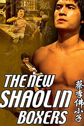 The New Shaolin Boxers