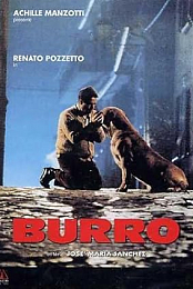Burro