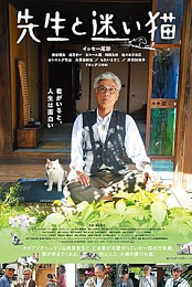 Teacher and Stray Cat